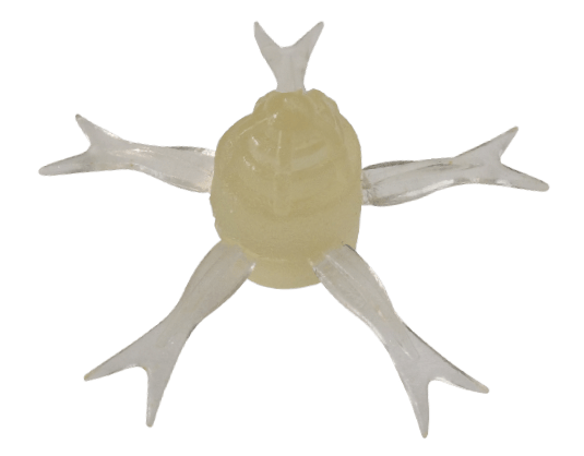 https://i.ebayimg.com/00/s/NDE4WDUzNQ==/z/S~UAAOSwtmFl337i/$_57.PNG