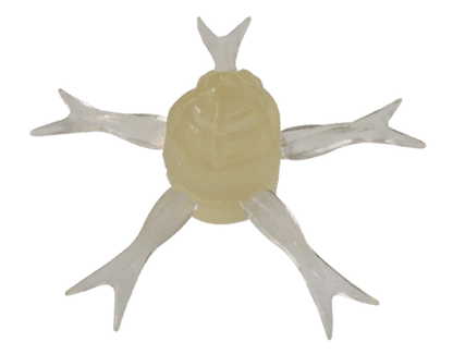 https://i.ebayimg.com/00/s/NDE4WDUzNQ==/z/S~UAAOSwtmFl337i/$_57.PNG