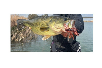 HIDEUP Coike Thunder L Soft Bait JDM Bass Fishing Lure