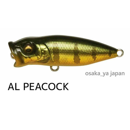 https://i.ebayimg.com/00/s/MTAwMFgxMDAw/z/2d4AAeSwAvBofRG8/$_57.JPG