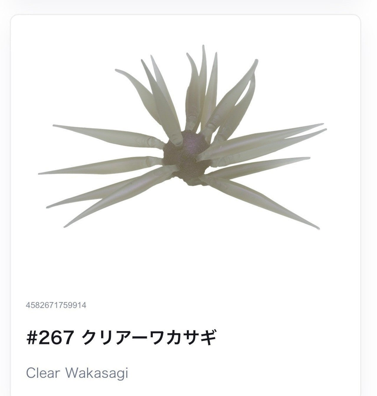 https://i.ebayimg.com/00/s/MTM0NlgxMjgw/z/YMYAAeSwZQpp9wUu/$_57.JPG