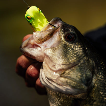 Megabass GABARIN Topwater Frog 2026 JDM Bass Lure