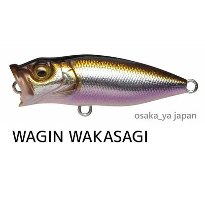 https://i.ebayimg.com/00/s/MTAwMFgxMDAw/z/1VMAAeSwGjlofRG6/$_57.JPG