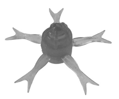 https://i.ebayimg.com/00/s/NDM1WDUyMQ==/z/AWMAAOSw3-5l337e/$_57.PNG