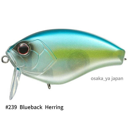 https://i.ebayimg.com/00/s/MTAwMFgxMDAw/z/QYsAAOSwHIZoF2fN/$_57.JPG