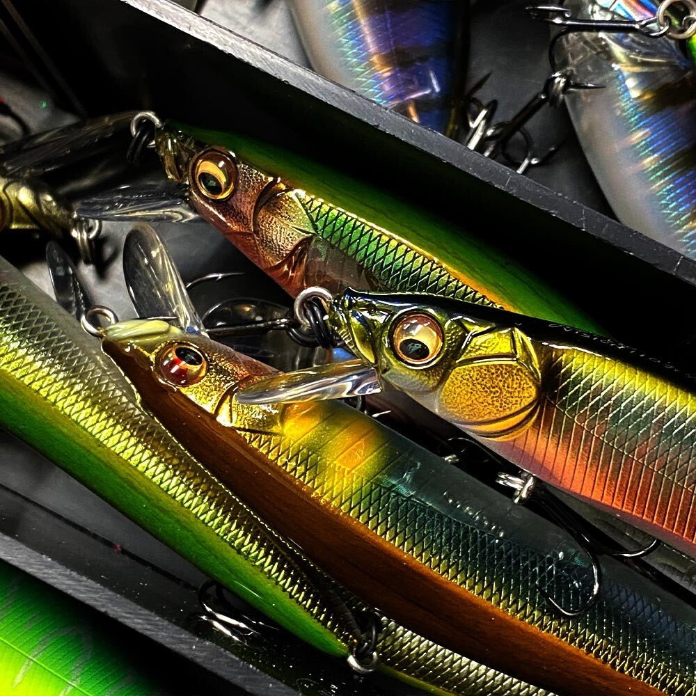 https://i.ebayimg.com/00/s/MTAwMFgxMDAw/z/WHsAAOSwFn9oLvF1/$_57.JPG
