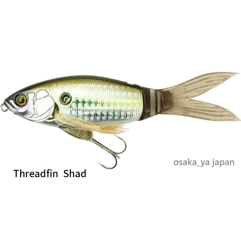 https://i.ebayimg.com/00/s/MTAwMFgxMDAw/z/CPoAAOSwViloIHSN/$_57.JPG