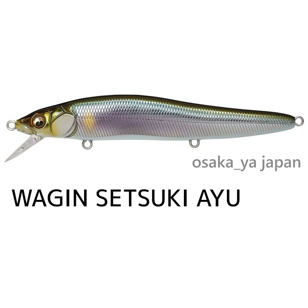 https://i.ebayimg.com/00/s/MTAwMFgxMDAw/z/-0EAAeSwvz5ofRgb/$_57.JPG