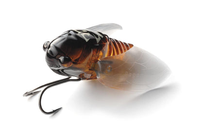 Megabass GRAND SIGLETT Topwater Cicada Bug 42.5mm 1/4oz JDM Bass