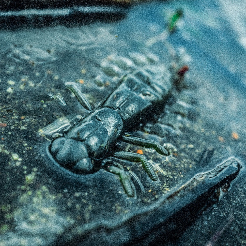 Megabass YAGOT 3.5" Soft Plastic Dragonfly Nymph JDM Bass