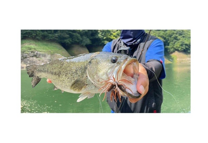 HIDEUP Coike Thunder L Soft Bait JDM Bass Fishing Lure