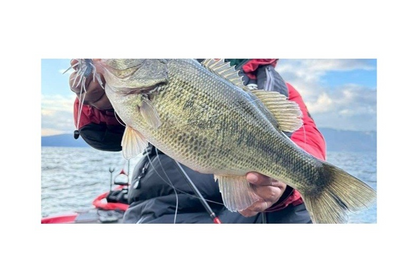 HIDEUP Coike Thunder L Soft Bait JDM Bass Fishing Lure