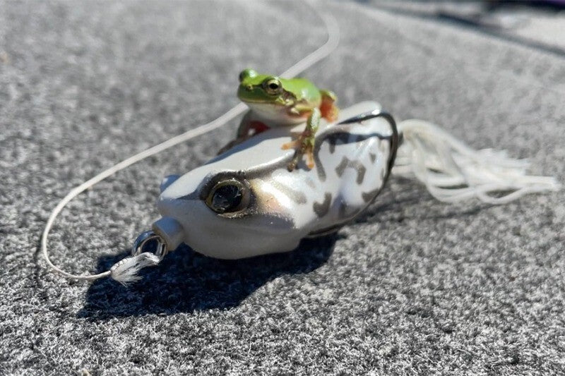 https://i.ebayimg.com/00/s/NTMzWDgwMA==/z/NgUAAOSwCFRoMuMM/$_57.JPG