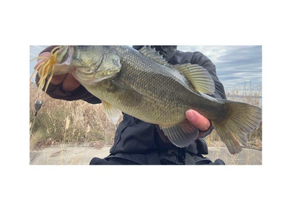 HIDEUP Coike Thunder L Soft Bait JDM Bass Fishing Lure