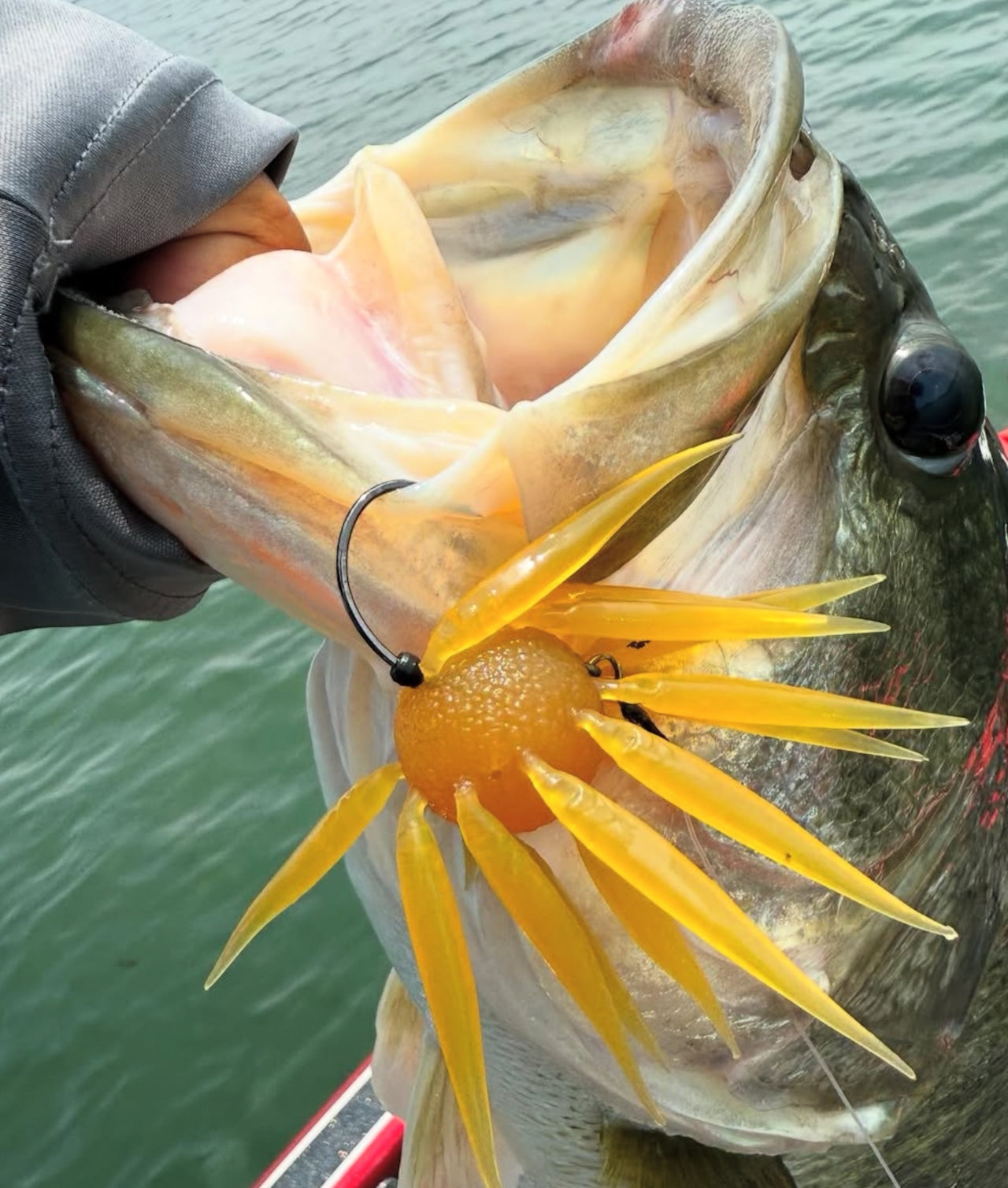 HIDEUP COIKE FISH M ELASTOMER 17mm new JDM choose color IN STOCK