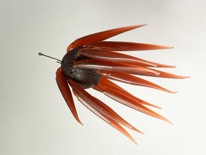HIDEUP COIKE FISH M ELASTOMER 17mm new JDM choose color IN STOCK